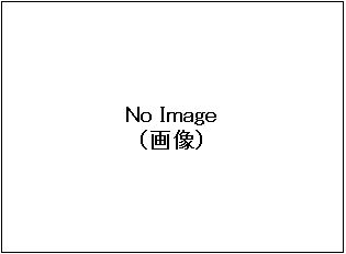 （キャプションが入ります）