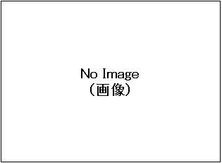 （キャプションが入ります）
